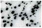 South Polar Region Cryptic Terrain Margin Monitoring in Main Crater
