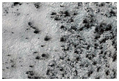 Seasonal Monitoring of Interesting Morphology
