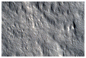 Olympus Mons
