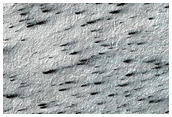 South Polar Terrain
