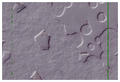 Seasonal Monitoring of Features in CTX Image