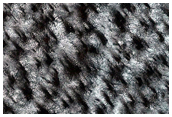 South Polar Terrain
