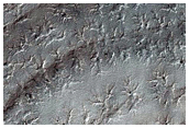 South Polar Region Seasonal Monitoring
