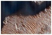 Ongoing Dune Activity in Ganges Chasma