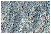 Gully Monitoring

