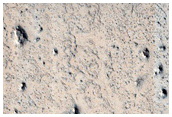 Monitoring New Impact Site 

