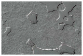 Seasonal Monitoring of Features

