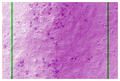 Ridge in South Polar Region
