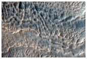 Gullies Near Crater Rim
