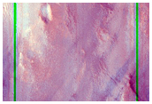 Rocky Outcrop
