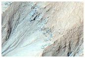 Gullies in Crater in Terra Cimmeria
