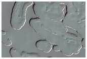 South Polar Residual Cap Monitoring
