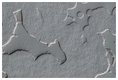 Seasonal Monitoring of Features Seen in CTX Image