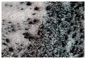 Seasonal Monitoring of Interesting Morphology
