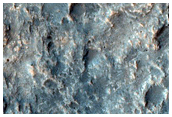 Rocky Ground

