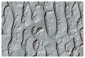Thumbprint Terrain on South Polar Residual Cap
