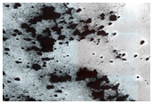 Cryptic Terrain Margin Monitoring in Reynolds Crater
