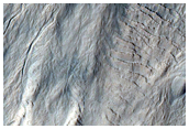 Gully Monitoring
