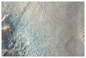 Gully Monitoring
