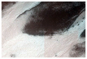 Gullies in Lyell Crater
