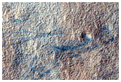 Gullies in Niger Vallis

