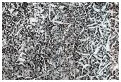 Southern Noachis Terra
