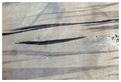 Slope Streaks
