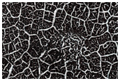 Southern Noachis Terra
