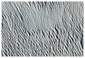Sabis Vallis
