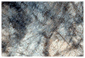 USGS Dune Database Entry Number 1905-652
