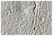 Gully Monitoring
