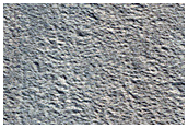 Galaxias Colles
