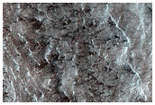 South Polar Terrain
