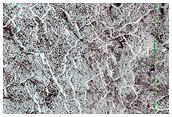 Seasonal Monitoring Near Pityusa Rupes
