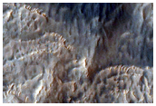 Gorgonum Chaos
