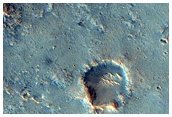 Terra Cimmeria Compositional Diversity
