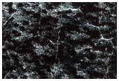 South Polar Terrain
