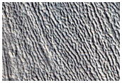Lineated Valley Fill North of Arabia Terra
