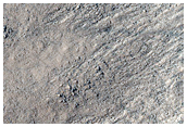 Gullies in Argyre Planitia
