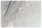 Gully Monitoring
