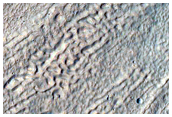 Gully Monitoring
