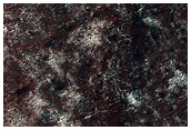 South Polar Terrain
