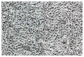 Southern Noachis Terra
