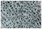 South Polar Terrain

