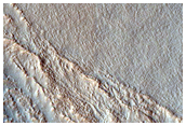 Gullies in Southern Mid-Latitude Crater
