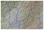 South Polar Terrain
