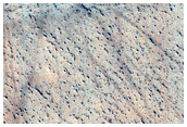 Cratered Cones in Elysium Planitia
