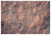 South Polar Terrain

