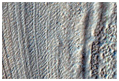 Possible Gullies
