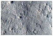 Network of Channel and Fan Deposits
